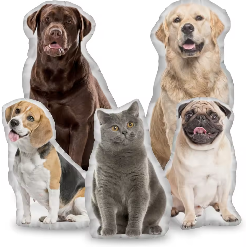 Custom Pet Photo Cushion